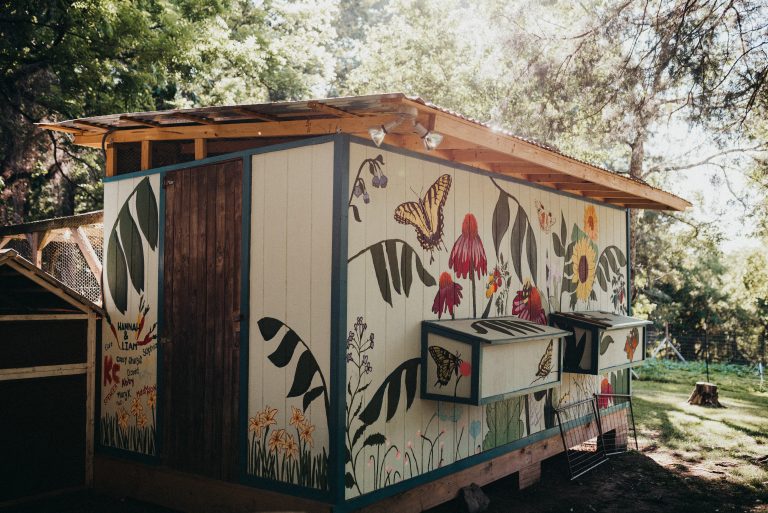The chicken coop mural located at Kingdom Gardens owned by Hannah, a global agriculture storyteller and first generation farmer