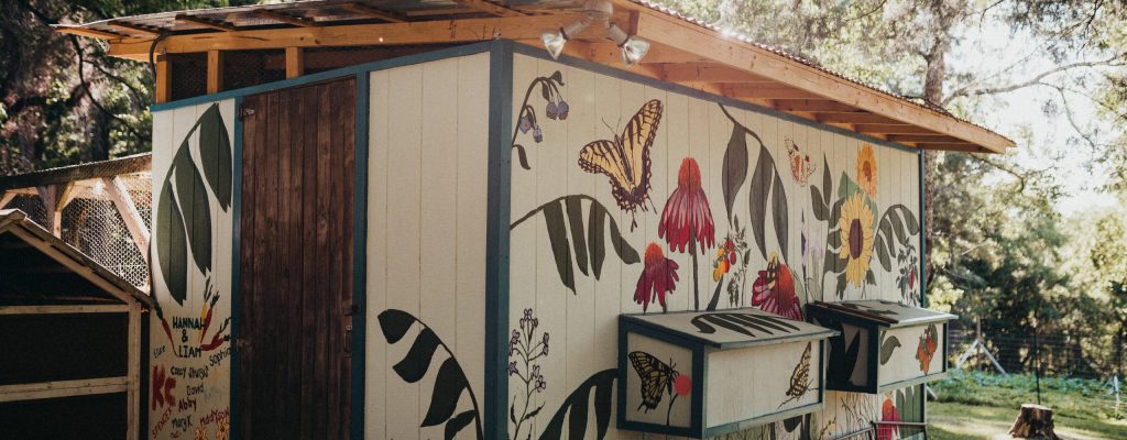 The chicken coop mural located at Kingdom Gardens owned by Hannah, a global agriculture storyteller and first generation farmer
